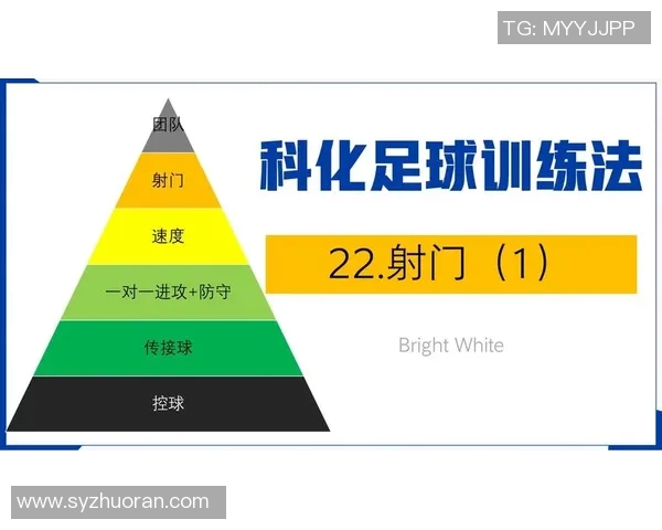 足球明星射门技巧解析多种射门方式的特点与应用